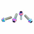 Wolf Tooth Titanium Water Bottle Cage Bolts Standard Head