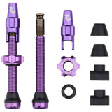 Wolf Tooth Tubeless Valve Stem Kit for Clik Valve 44mm