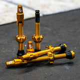 Wolf Tooth Tubeless Valve Stem Kit for Clik Valve 60mm