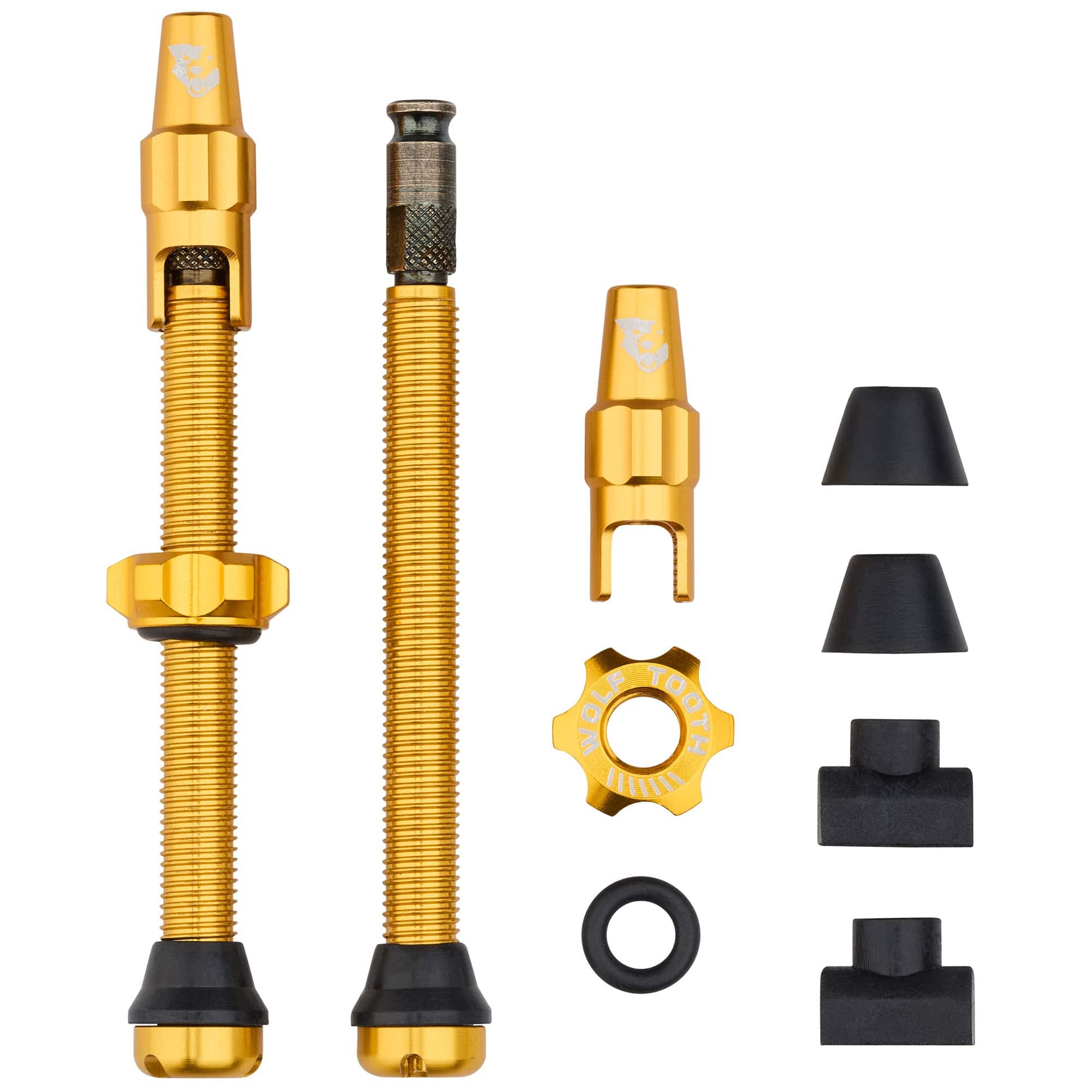 Wolf Tooth EnCase Pump for Clik Valve | RA Cycles