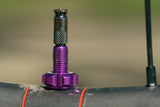 Wolf Tooth Tubeless Valve Stem Kit for Clik Valve 60mm