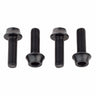 Wolf Tooth Water Bottle Cage Bolts Aluminum - 4 pcs.